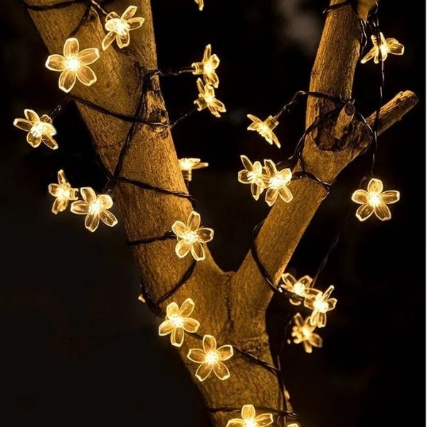 DAISYGLOW have dekoration