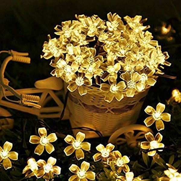 DAISYGLOW festlys