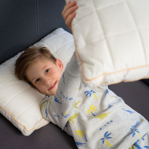 MINIDREAM specifikationer