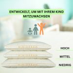 MINIDREAM