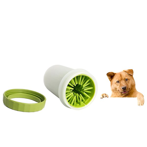 PAWSANI gaveidé