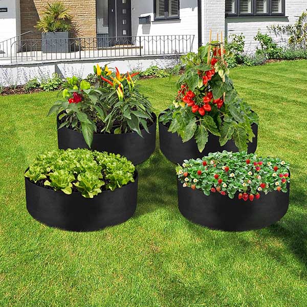 PLANTIE