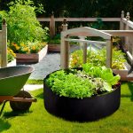 PLANTIE