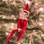 R4EDELF