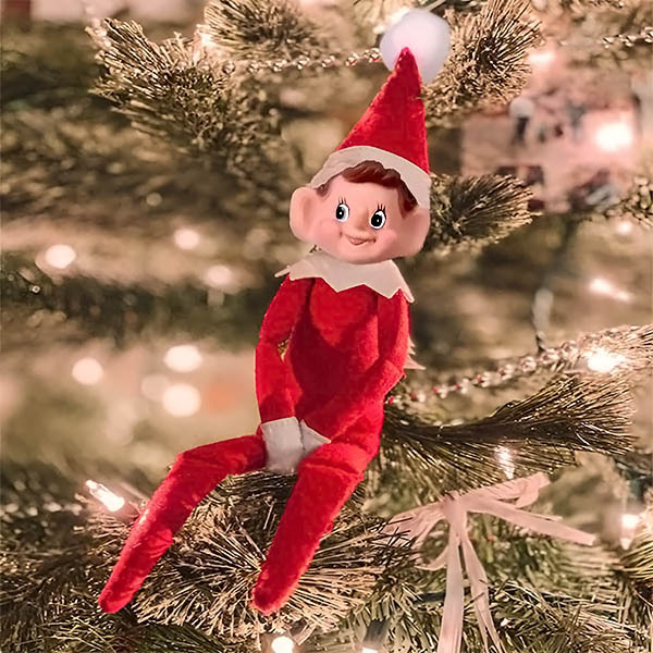 R4EDELF
