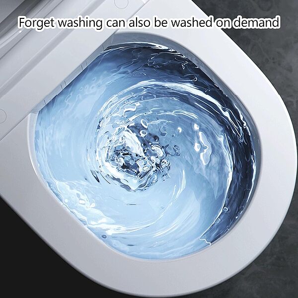 TOILETFLUSH-3831127648941-EN-7__080526